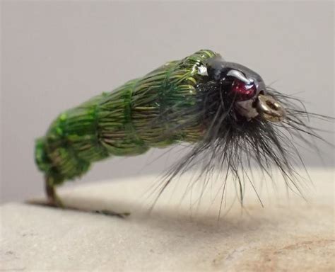 Green Grass Cased Caddis Fly | Sedge Fly | Caddis Larvae Fly Pattern