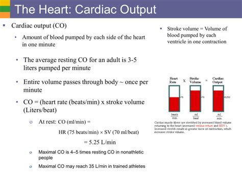 Cardiac Output Chart