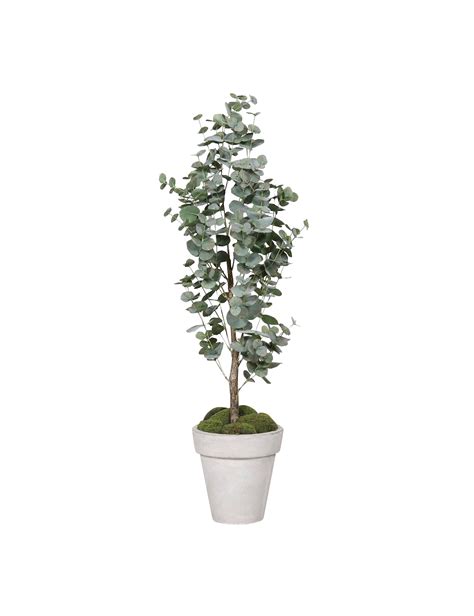 Kunstig Eucalyptus I Potte Plantorama