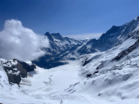 Gita Di Un Giorno Intero Nella Regione Della Jungfrau Getyourguide