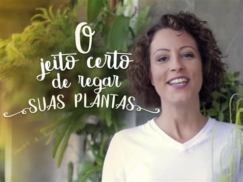 Guia Completo De Como Regar Suas Plantas Minhas Plantas