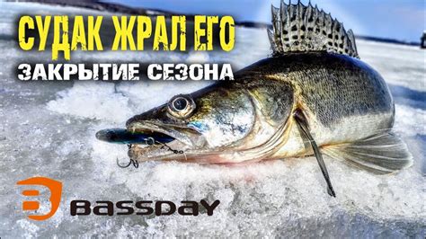 Судак на раттлин Bassday. река Кама. Закрытие сезона 2022 - YouTube