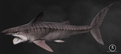 Explore the Best Helicoprion Art | DeviantArt