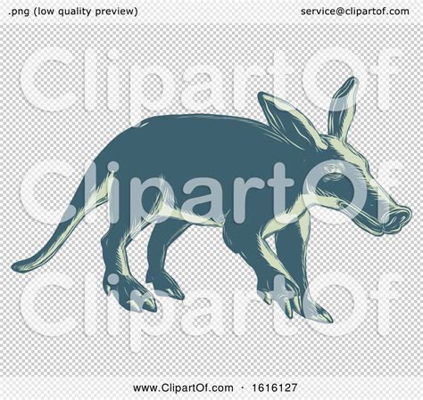 Clipart Of A Scratchboard Style Aardvark Royalty Free Vector