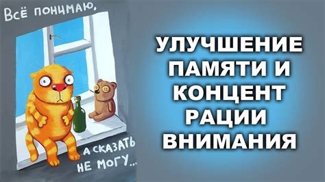 УЛУЧШЕНИЕ ПАМЯТИ И КОНЦЕНТРАЦИИ ВНИМАНИЯ - YouTube