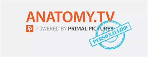 personal profiles  anatomytv  launched