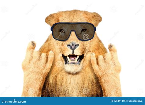 Funny Lion Stock Photo | CartoonDealer.com #123803082