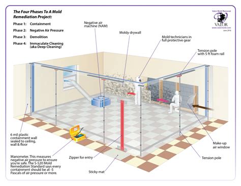 Is It Safe To Stay In Your Home During Mold Remediation Valor Mold