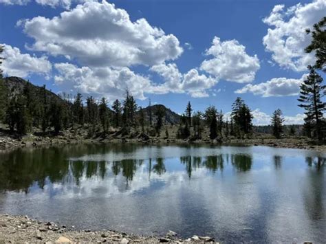 10 Best Hikes and Trails in Shasta-Trinity National Forest | AllTrails