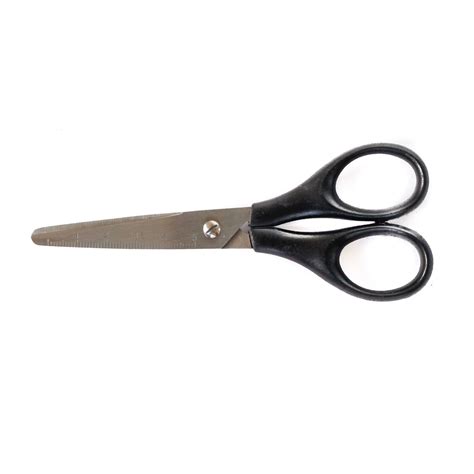 ESPP 5 5 Inch Stainless Steel Scissors ESPP