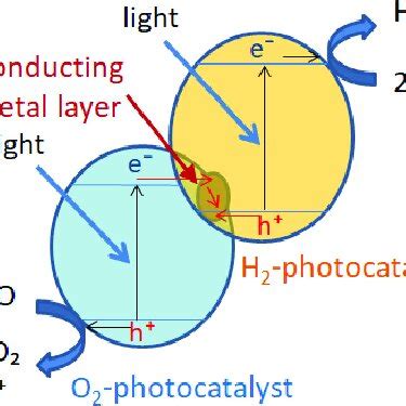 Schematic of overall water-splitting reaction under light in the ...