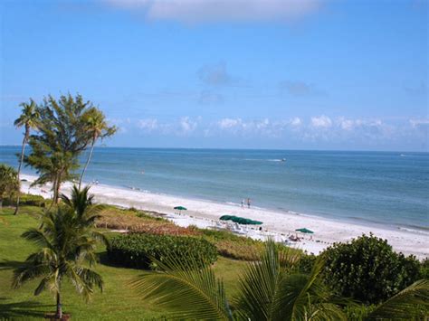 gulf views david  schuldenfrei