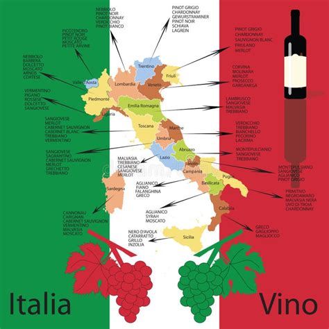 Mappa Italiana Del Vino Illustrazione Di Stock Illustrazione Di