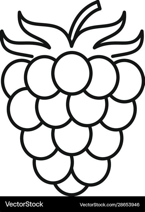 Raspberry Icon Outline Style Royalty Free Vector Image