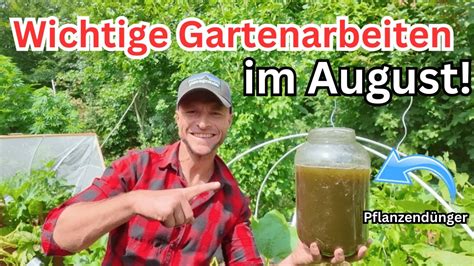 Wichtige Gartenarbeiten im August für mehr ERNTE und weniger