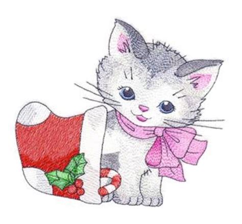 Christmas Kitten With Stocking Aries Gallery Orkney Photography And