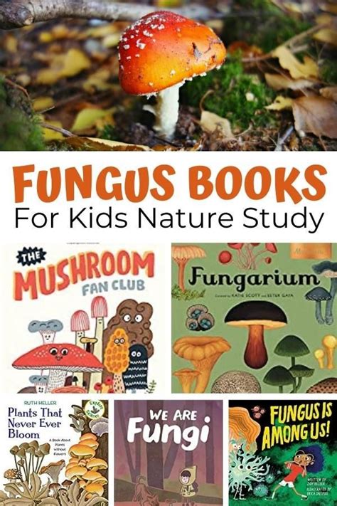 The Best Selection Of Fungi Books For Kids Nature Study Homeschool