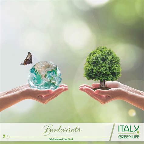 🌍 La Giornata Mondiale Della Biodiversità