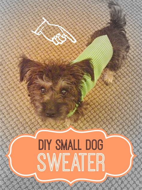 DIY Small Dog Sweater