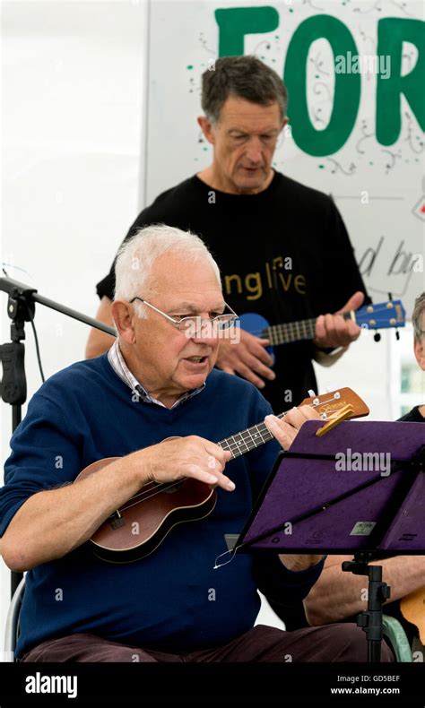 Two People Playing Ukulele Hi Res Stock Photography And Images Alamy