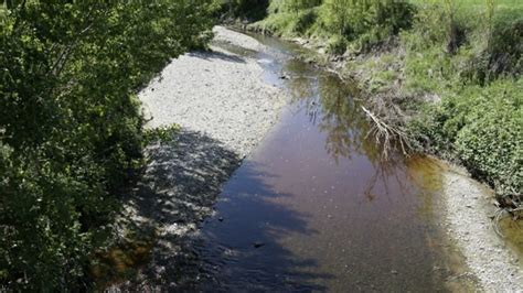 Acqua Sotto Accusa Il Depuratore Di Casteggio Pavia Tredici