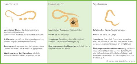 Beize Einheit Korrespondent W Rmer Im Stuhl Symptome Il Beeile Dich