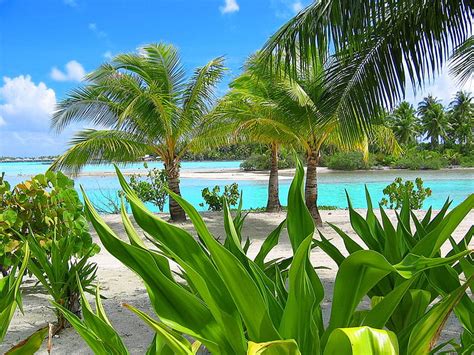 1920x1080px 1080p Free Download Bora Bora Resort South Polynesia