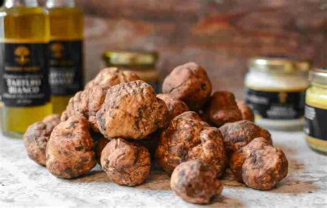 Marzuolo Truffle Sassone Tartufi Intense Passion