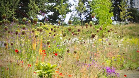 Welcoming Wildlife Planting Gallery - Ann Marie Powell Gardens