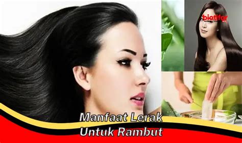 Temukan Manfaat Rebusan Rambut Jagung Yang Jarang Diketahui Biotifor