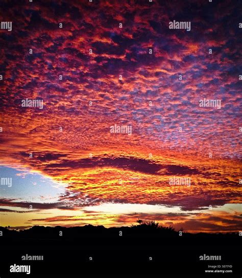 The Arizona sky lights up at sunset, Tucson, Arizona, Sonoran Desert ...