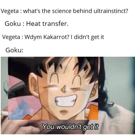 Vegeta Cries In A Corner Rphysicsmemes