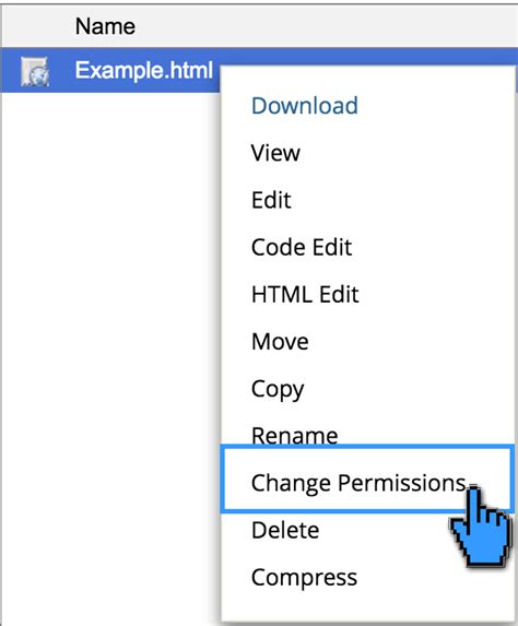 change permission  file folder file manager idcloudhost