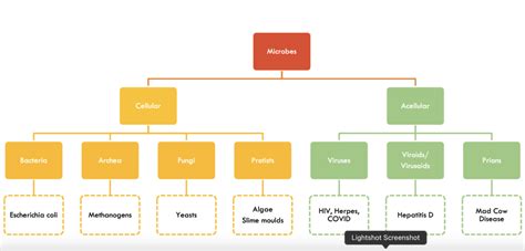 Lec Intro To Microbes Diagram Quizlet