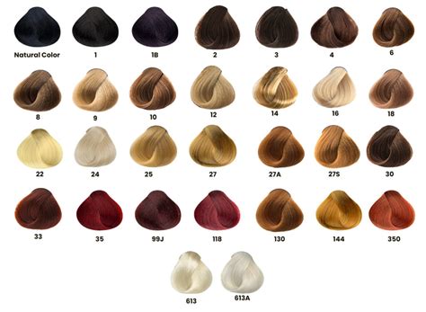 Women’s Hair Color Chart Remakemyhair