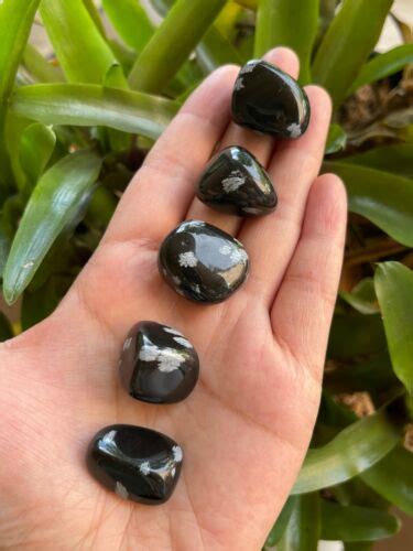 Grade A Snowflake Obsidian Tumbled Stones Polished Stone