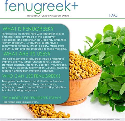 Fenugreek Plus Fenugreek Capsules 1400mg Lactation Support