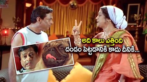 Rama Prabha & M. S. Narayana Hilarious Comedy Scene | Comedy Express ...