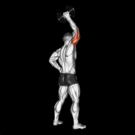 Dumbbell Single-Arm Triceps Kickback: Guide, Muscles Worked, Tips