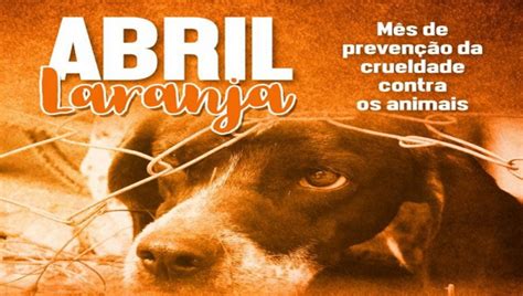 Maus Trato De Animais - Mês de conscientização contra os maus tratos aos animais | Prefeitura ...