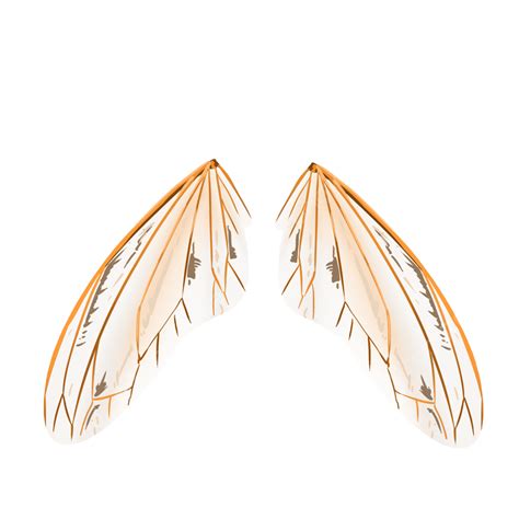 Golden Cicada Wings, Golden, Cicada Bug, Wing PNG Transparent Clipart Image and PSD File for ...