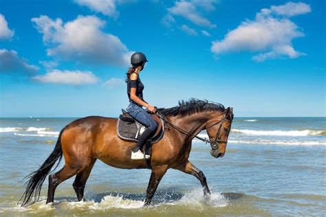 Horse Riding - Langkawi.com