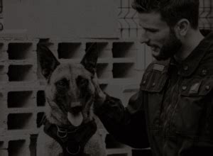 Working Paws – Helping retired military working dogs