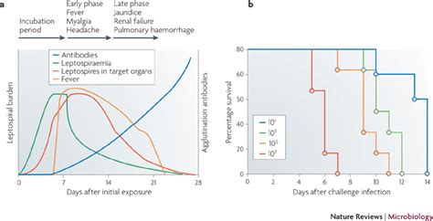 Disease Kinetics Of Leptospirosisa The Kinetics Of Leptospiral Download Scientific Diagram