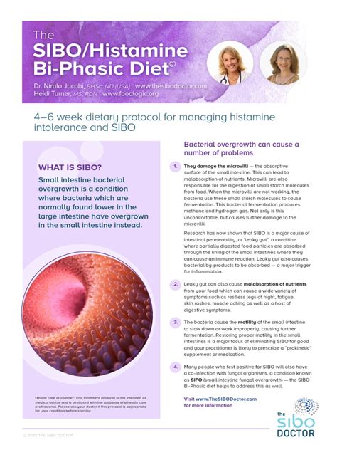 Histamine Bi Phasic Diet 2020 3 Pdf Food Intolerance Drink