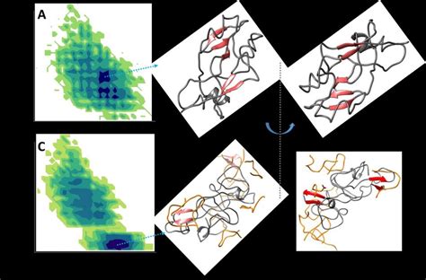 Figure2 REMD simulations to understand α syn conformational transition