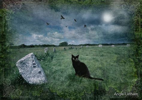 "Cornish Black Cat" by Angie Latham | Redbubble