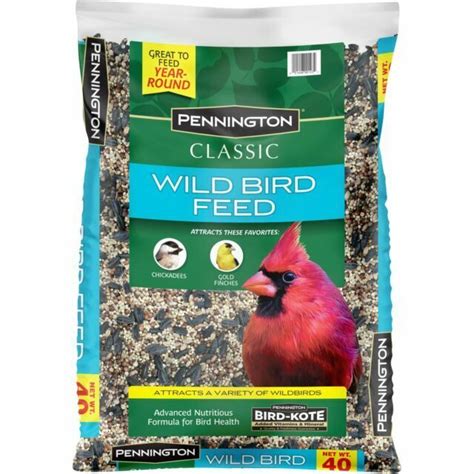 Best Wild Bird Seed Mix Brands Unique Rare Bird