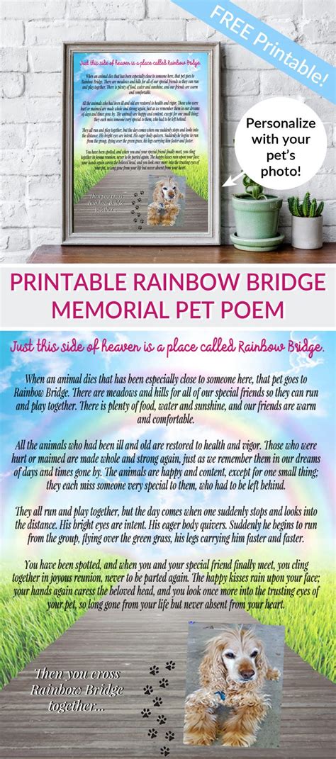 Rainbow Bridge Printable Poem For Dogs