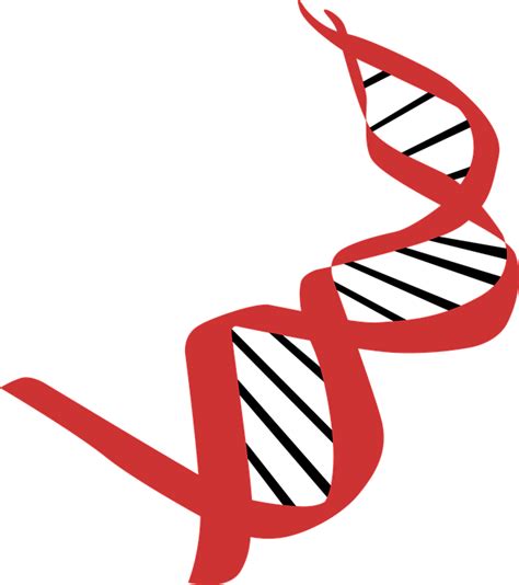 Dna Biology Icon Free Vector Graphic On Pixabay